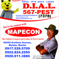 Mapecon branches
